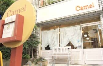 Camel hairdesign_求人画像